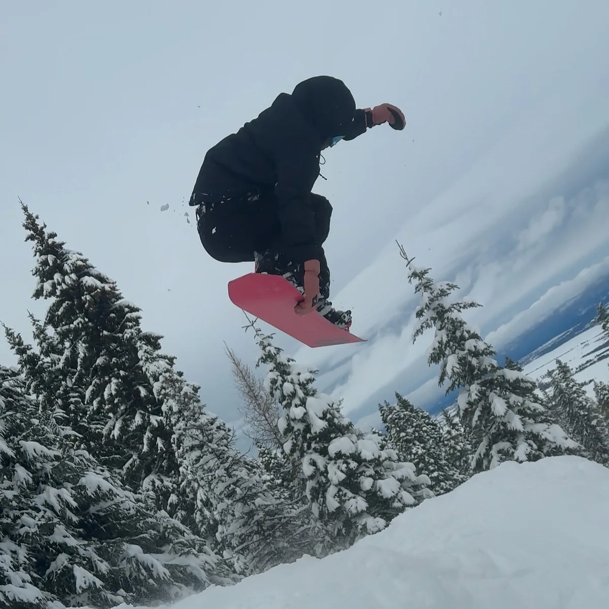 Snowboarder above the snow among trees
